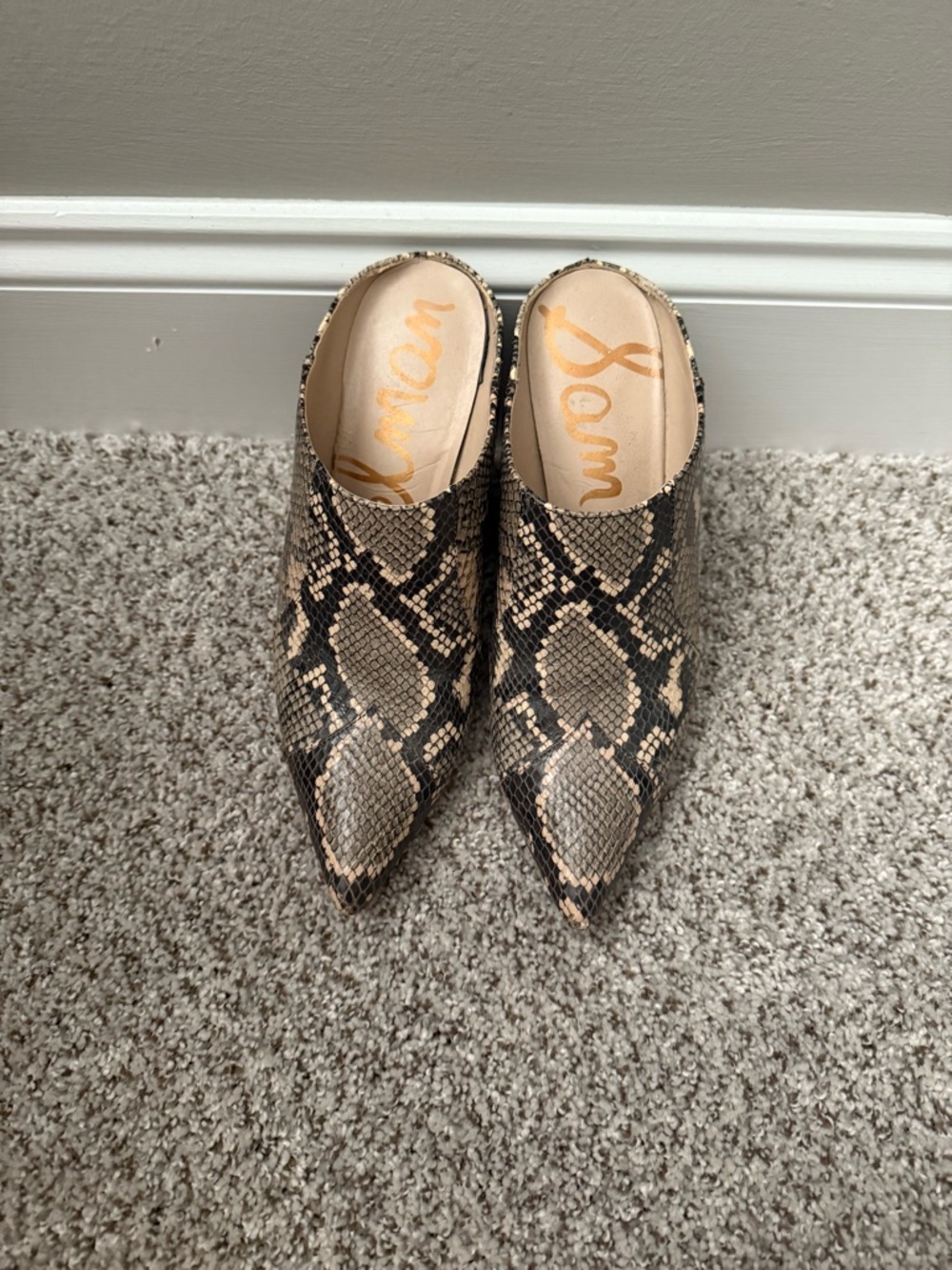 Sam Edelman Snake-Print Pointed Mule in Brown and Black